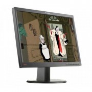 Monitor Refurbished Lenovo LT2252PW, LCD, 22 inch, 1680 x 1050, VGA, DVI, DisplayPort, Widescreen Monitor Refurbished Lenovo LT2252PW, LCD, 22 inch, 1680 x 1050, VGA, DVI, DisplayPort, Widescreen
