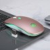 Mouse Nou YINDIAO A2, 1600dpi, 4 Butoane, RGB, Roz-Gold, Wireless Mouse Nou YINDIAO A2, 1600dpi, 4 Butoane, RGB, Roz-Gold, Wireless
